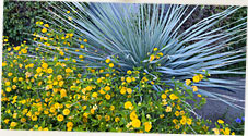 Holbrook Business Park in Tempe, Arizona